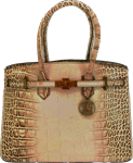 Cameleon S&W Croc Handbag (Options: CONCEALED CARRY PURSE)