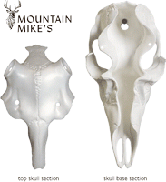 Mountain Mike'S Deer Skull (Options: MASTER UNIV KIT 3"-5" ANTLERS)