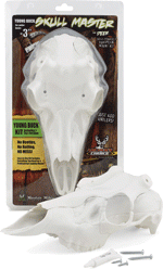 Mountain Mike'S Deer Skull Kit (Options: SKULL MASTER SMALL)