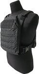 Grey Ghost Gear Minimalist (Options: PLATE CARRIER BLACK)