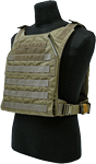 Grey Ghost Gear Minimalist (Options: PLATE CARRIER RANGER GREEN)